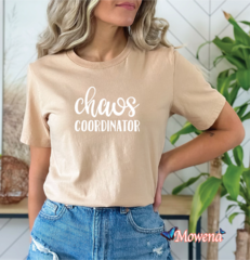 Chaos coordinator