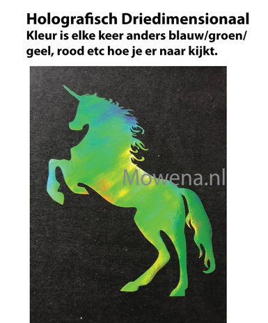 Glitterzilver of holografisch of normale opdruk kids hoodie KPV0099