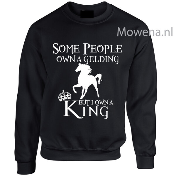 Sweater Some people own a gelding but I own a king SP0090