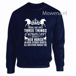 Sweater div.kleuren SP077 