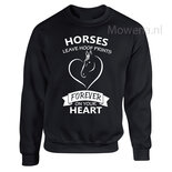 Sweater div.kleuren SP078 