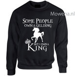 Sweater div.kleuren SP090