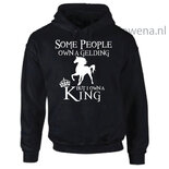 Hoodie div.kleuren gelding PH0090