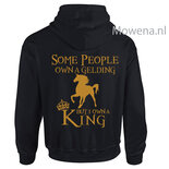 Hoodie div.kleuren PH0090