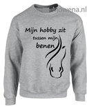 Sweater Mijn hobby zit tussen mijn benen voor of achterkant opdruk SP119