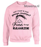 Sweater wat moet ik met glazen muiltjes deze prinses draagt paardrijlaarzen SP120
