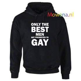 Hoodie div.kleuren LGBT012