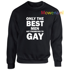 Sweater div.kleuren LGBT 012