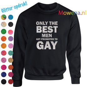 div.kleuren glitter opdruk Sweater  vk LGBT 012