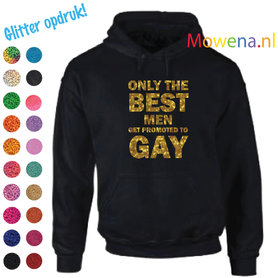 div.kleuren zilver opdruk hoodie LGBT012