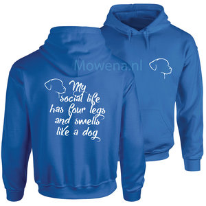 Hoodie div. kleuren P0046