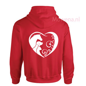 Hoodie div.kleuren P0051