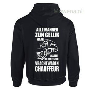 vrachtwagen div. kleuren vwh001