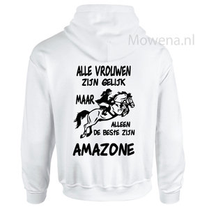 Hoodie div.kleuren P0056