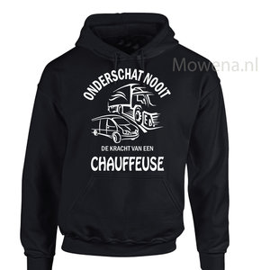 Chauffeuse vrachtwagen en busje div. kleuren vk vwh003