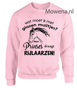 Sweater wat moet ik met glazen muiltjes deze prinses draagt paardrijlaarzen SP120