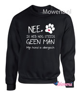 Sweater Nee ik heb nog steeds geen Man mijn hond is allergisch SD0129