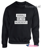 Sweater Animals are not ingredients SP0138