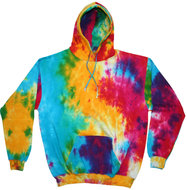 Hoodie TD31M multi rainbow