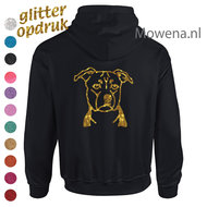 Stafford Hoodie met glitteropdruk ak div.kleuren DH0057