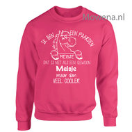 Sweater paardenmeisje  SP106