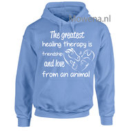 Hoodie healing therapie PH0109