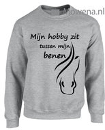 Sweater Mijn hobby zit tussen mijn benen voor of achterkant opdruk SP119